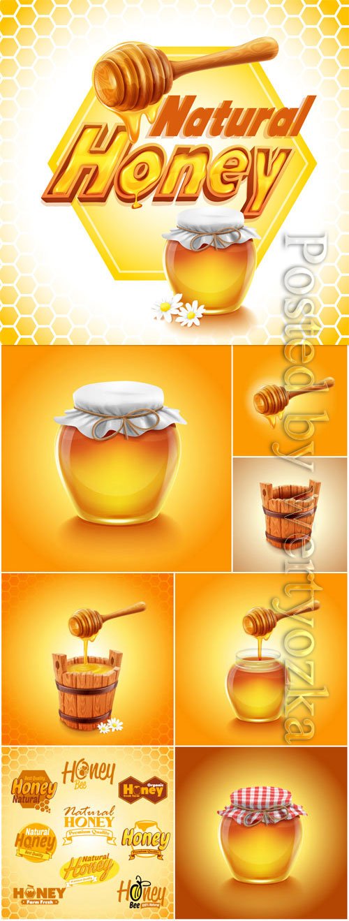 Honey, logos for design in vector