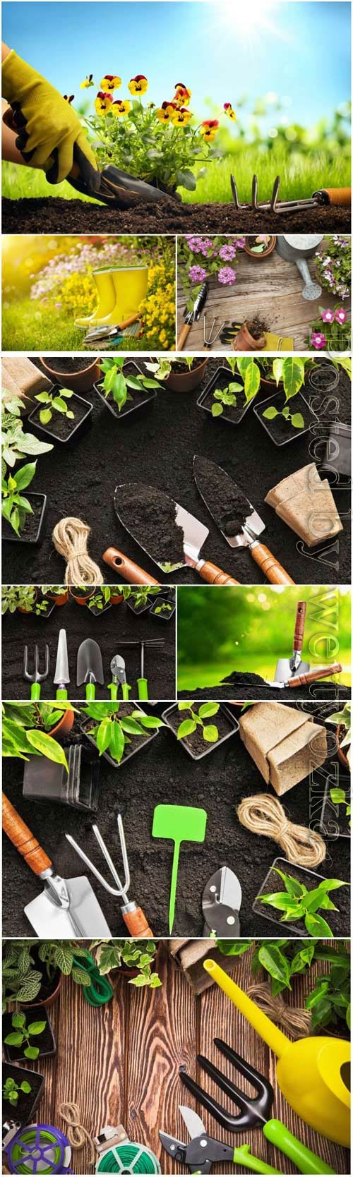 Gardening, tools to care for flowers and trees stock photo