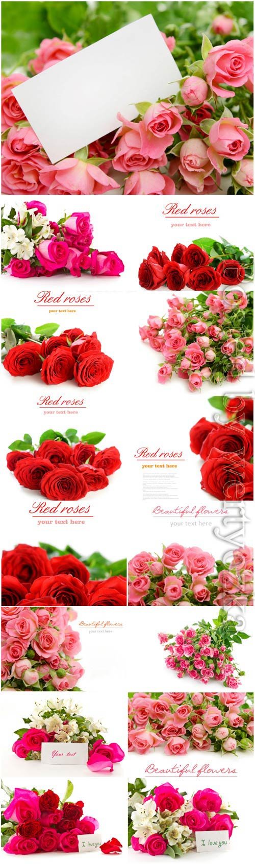 Bouquets of lovely roses stock photo