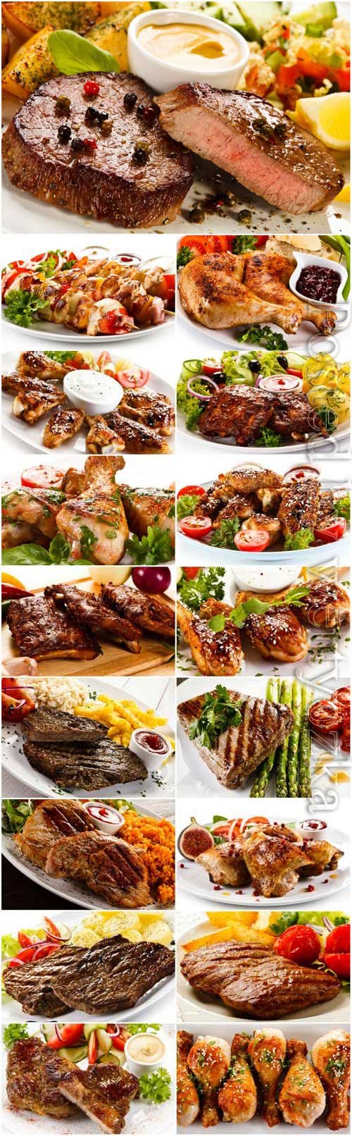 Meat dishes with garnish stock photo