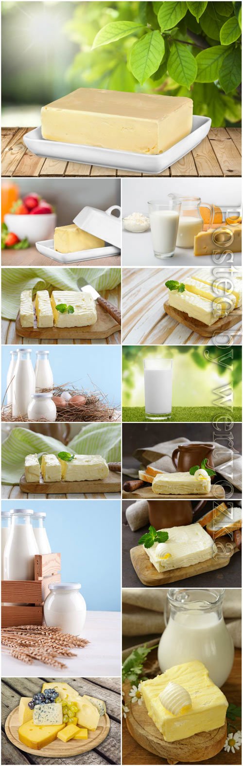 Butter and cheese, milk stock photo