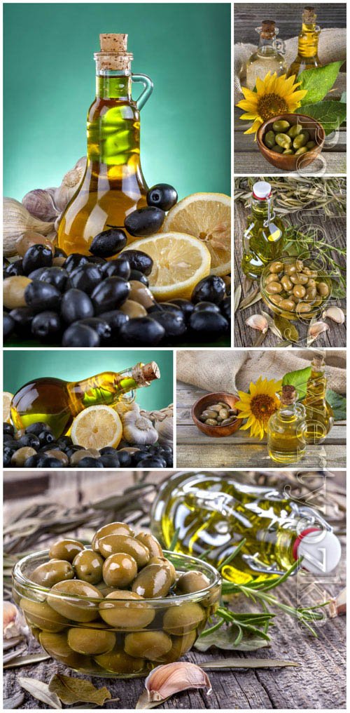 Olives stock photo