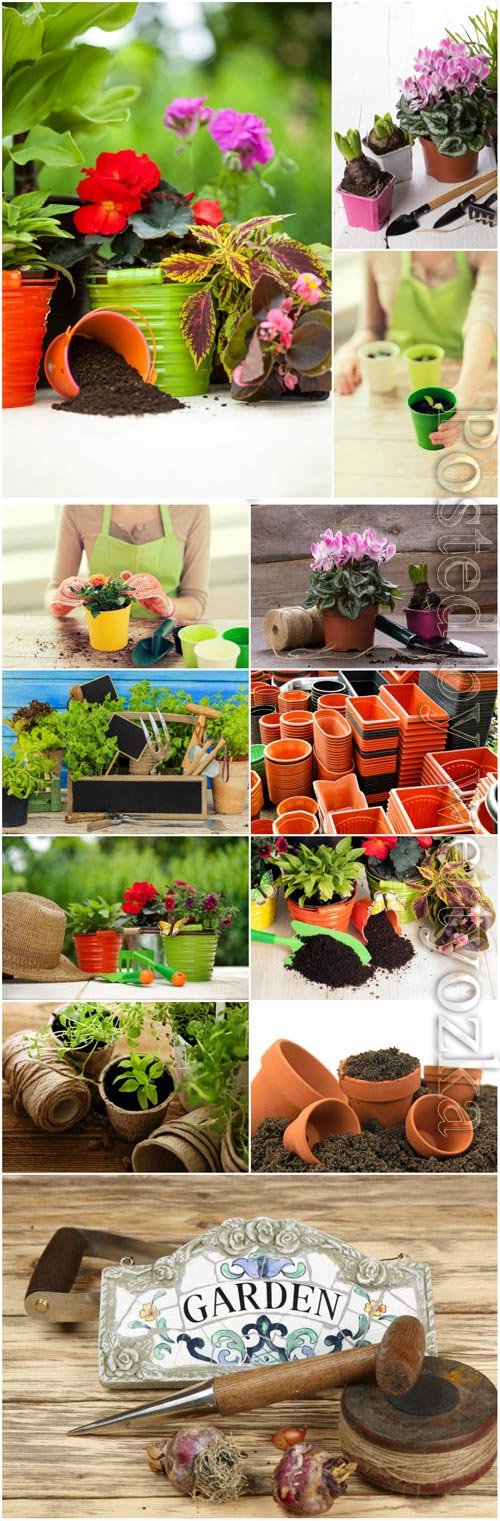 Gardening, flower pots stock photo