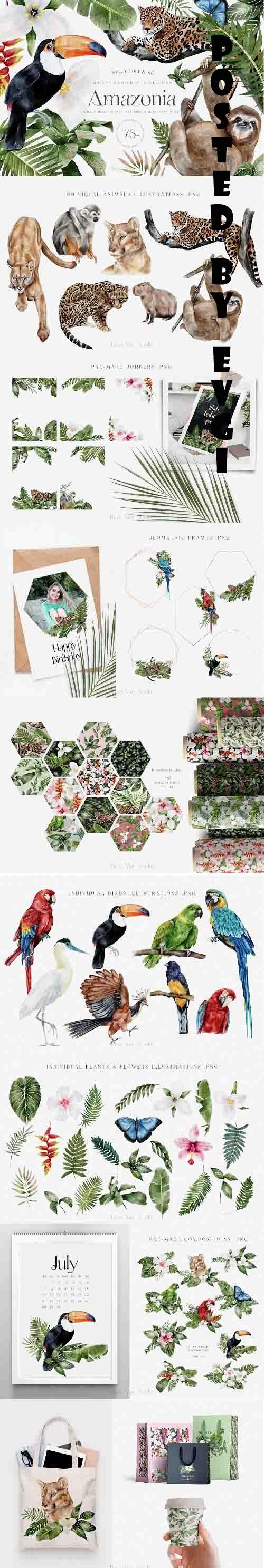 Tropical Rainforest Illustrations Collection and Patterns - 1408970