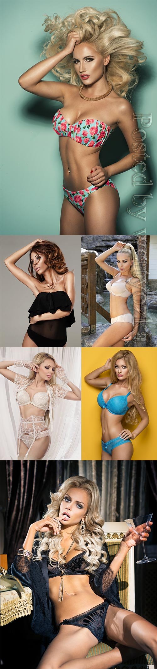 Luxury women in lingerie posing stock photo vol 25