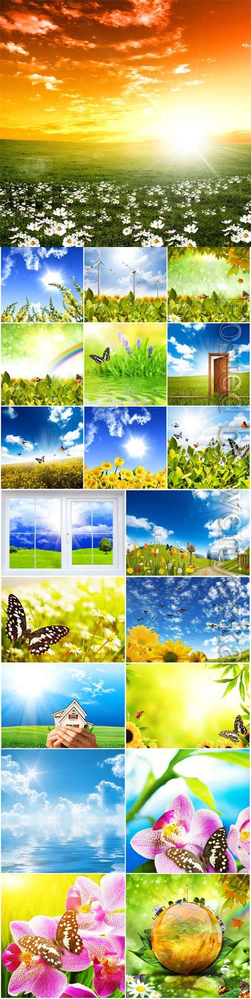 Floral summer backgrounds stock photo