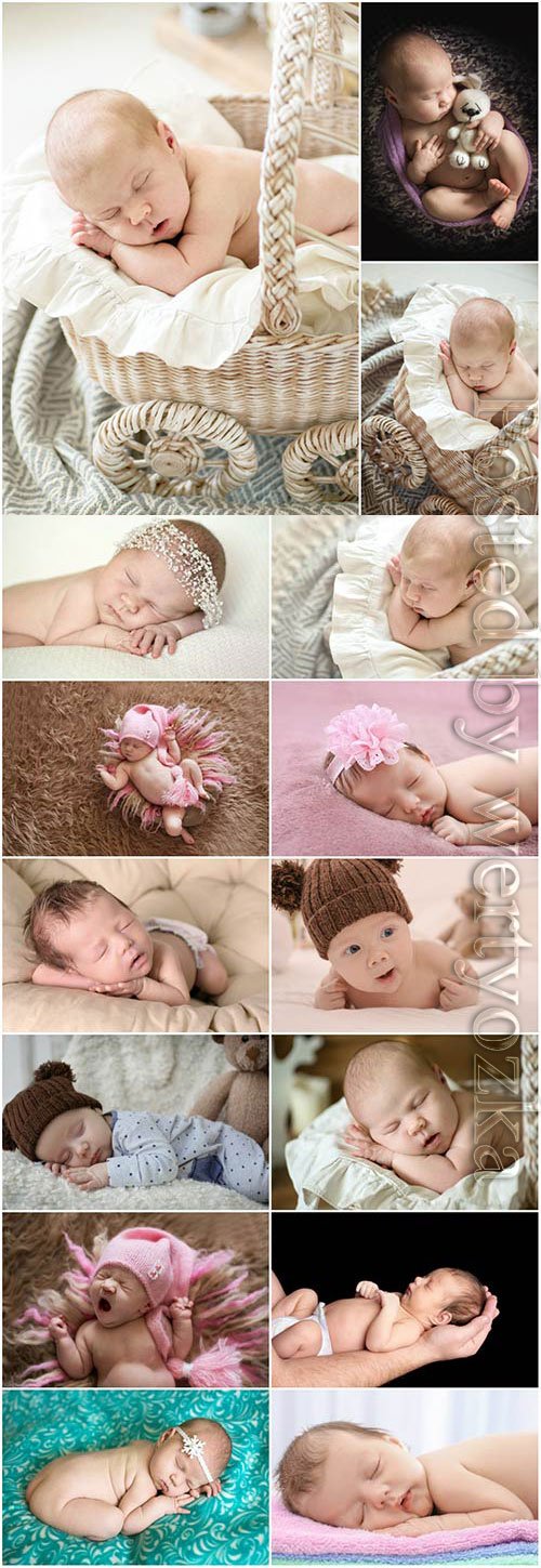 Adorable newborn babies at a photo shoot stock photo