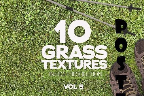 Grass Textures x10 Vol.5 - 6337190