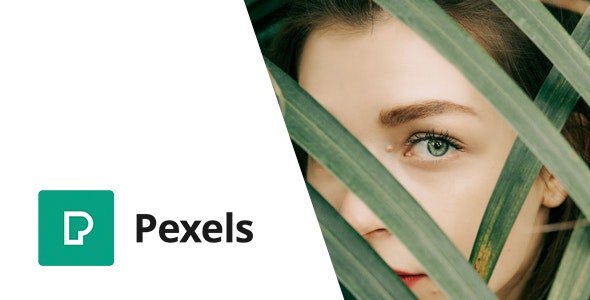 CodeCanyon - Pexels v1.0 - Import Free Stock Images into WordPress - 30602561