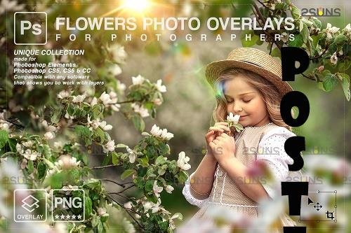Flower overlay , Photoshop overlay, Flower overlays - 1447820