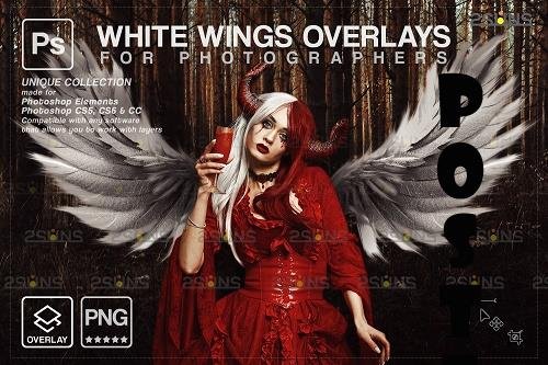 Realistic White Angel Wings Photoshop Overlays V1 - 1583893