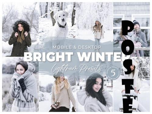 Bright Winter Mobile Desktop Lightroom Presets Lifestyle Instagram