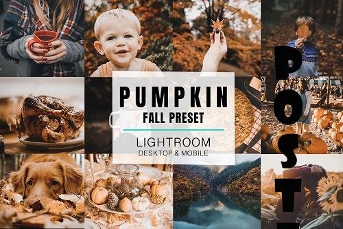 Lightroom Mobile - Pumpkin - 2920597