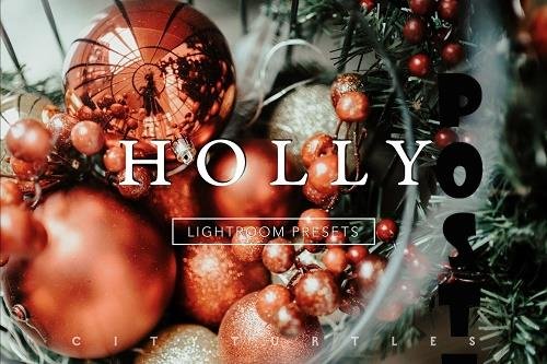 Holly Moody Rich Lightroom Presets - 3315942