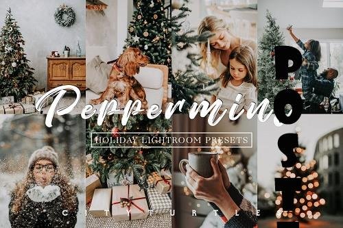 Moody Holiday Peppermint Lr Presets - 5620853