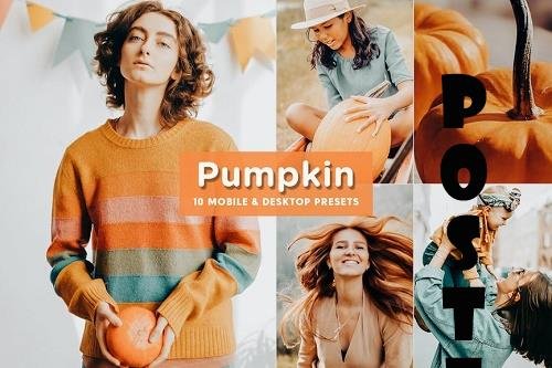 10 Pumpkin Mobile & Desktop Lightroom Presets