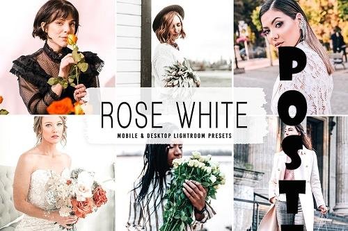 Rose White Pro Lightroom Presets - 6695383