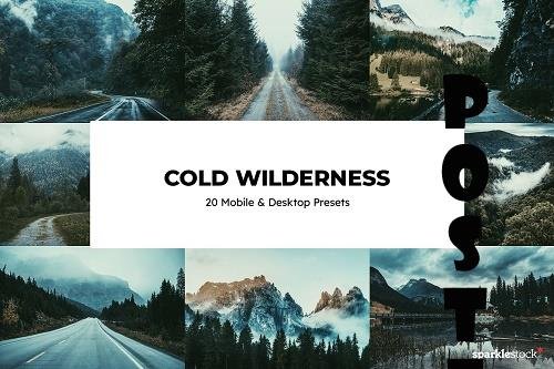 20 Cold Wilderness Lightroom Presets - 6693513