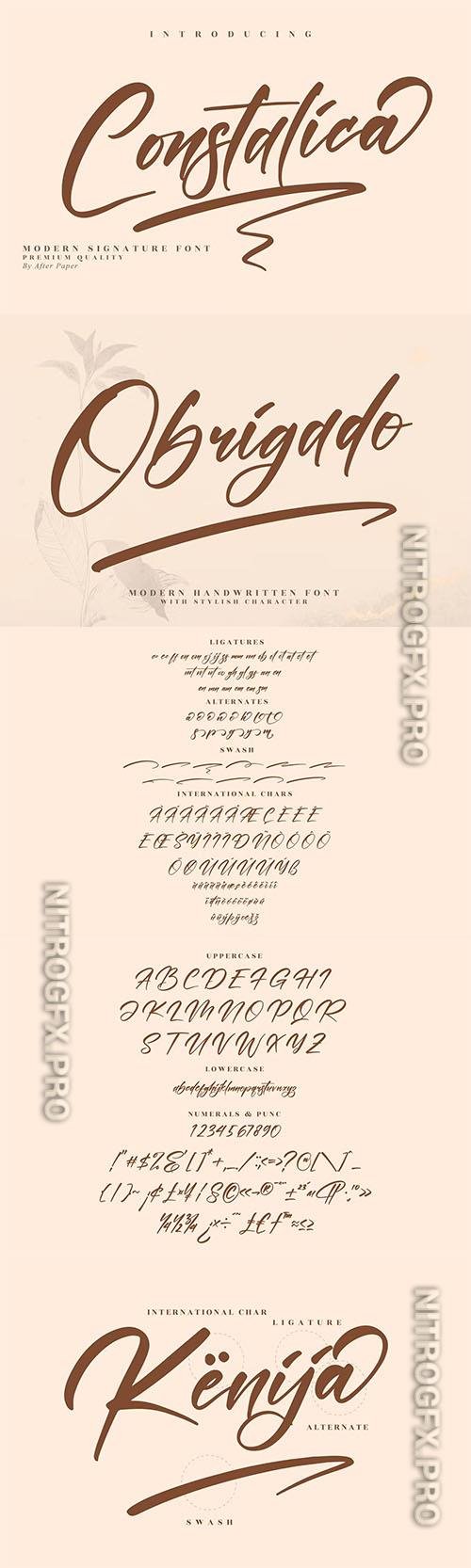 Constalica Modern Signature Font LS