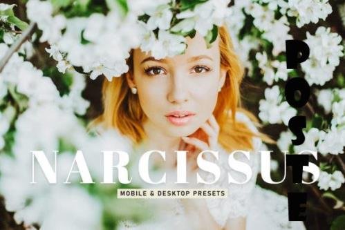 Narcissus Mobile & Desktop Lightroom Presets - 1800003