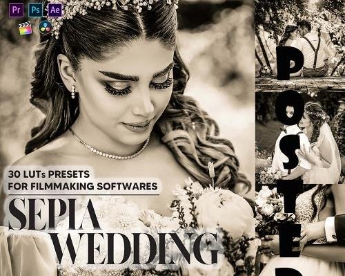 30 Sepia Wedding Video LUTs Presets, Bride Groom LUT Preset, Monochrome Filter