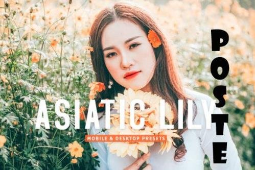 Asiatic Lily Pro Lightroom Presets - 7003212