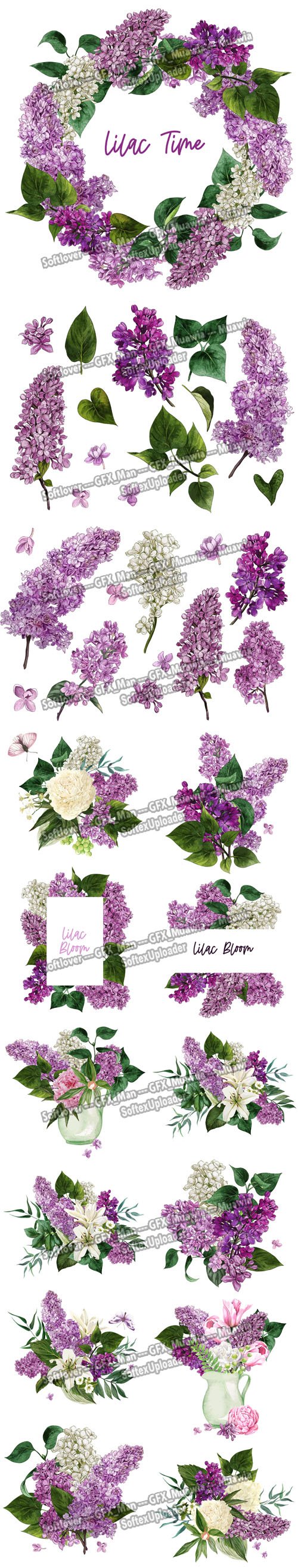 Spring Flowers Vector Templates Collection