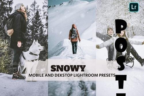 Snowy Lightroom Presets Dekstop and Mobile