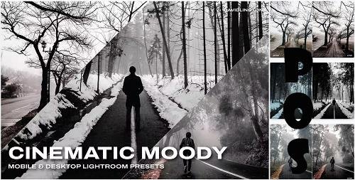 Cinematic Moody Lightroom Presets & LUTs