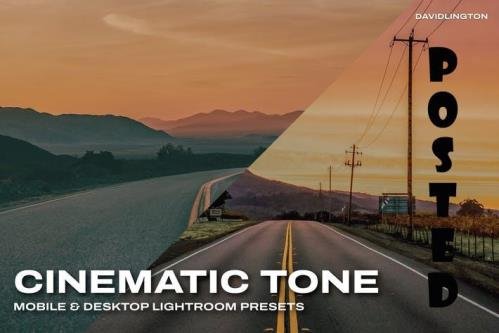 Cinematic Tone Lightroom Presets & LUTs