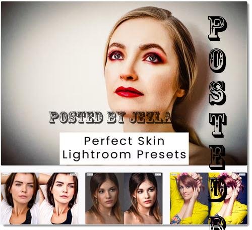 Perfect Skin Lightroom Presets - VJWRUS6