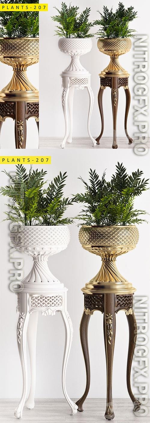 Plants 207 3D Model