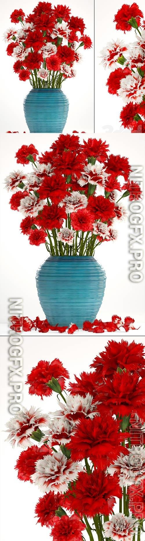 Collection of flowers 13 Carnation 3D Model