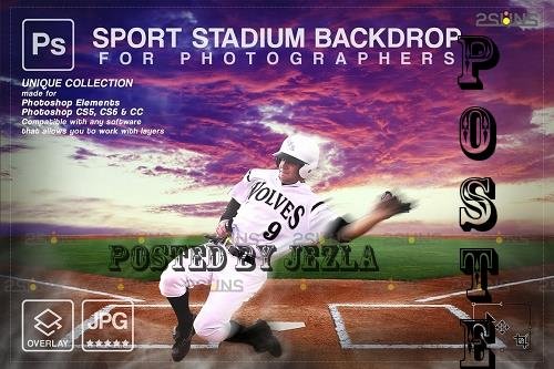 Baseball Backdrop Sports Digital V61 - 7394987