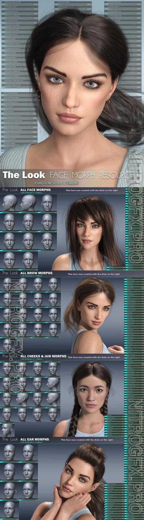 The Look Face Morph Resource for Genesis 8.1 Females