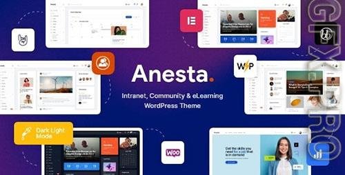 ThemeForest - Anesta v1.0.2 - Intranet, Extranet, Community and BuddyPress WordPress Theme/38185608