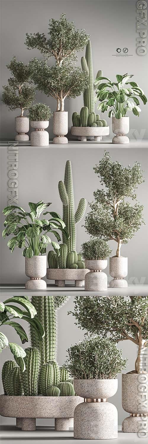 Indoor Plant Set 26 3D Models
