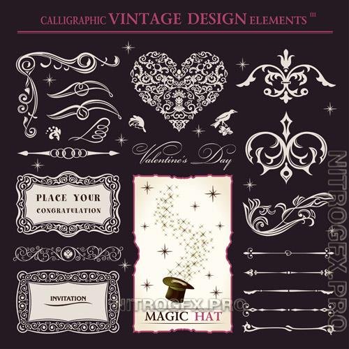Vector calligraphic elements vintage magic patterns and ornaments for books