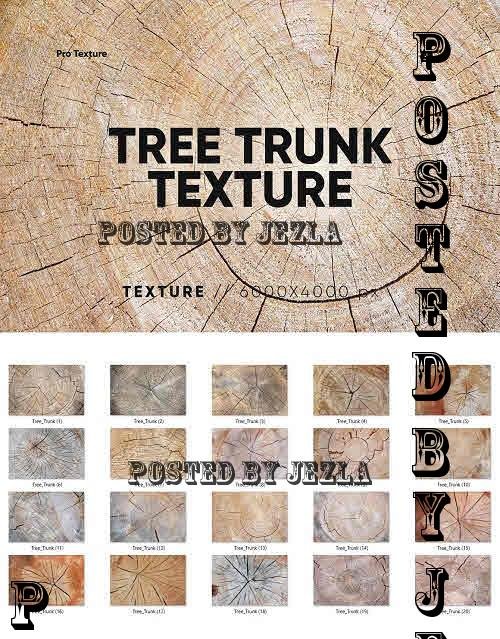20 Tree Trunk Textures - 7805294