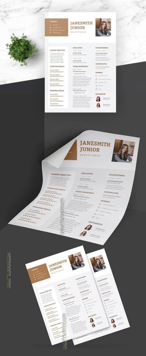 AdobeStock - Feminine Resume with Brown Accents - 430459281