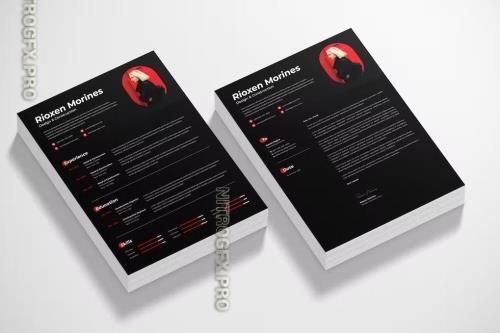 Professional Resume Template LXC8YW8