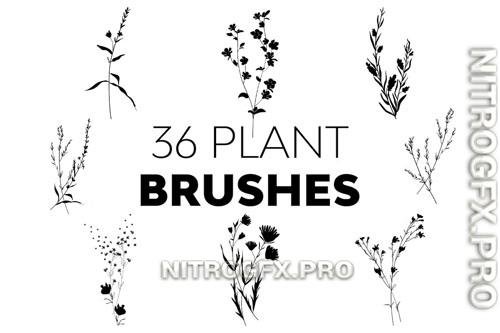 Plant Brushes
