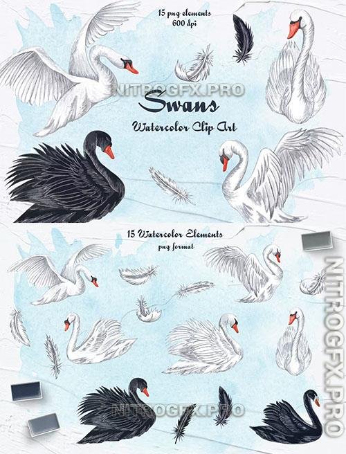 Swans Watercolor Clipart Design Template