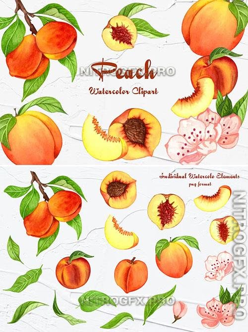 Peach Watercolor Clipart