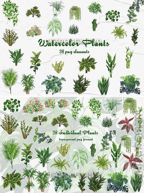 Watercolor Houseplants Clipart Design Template