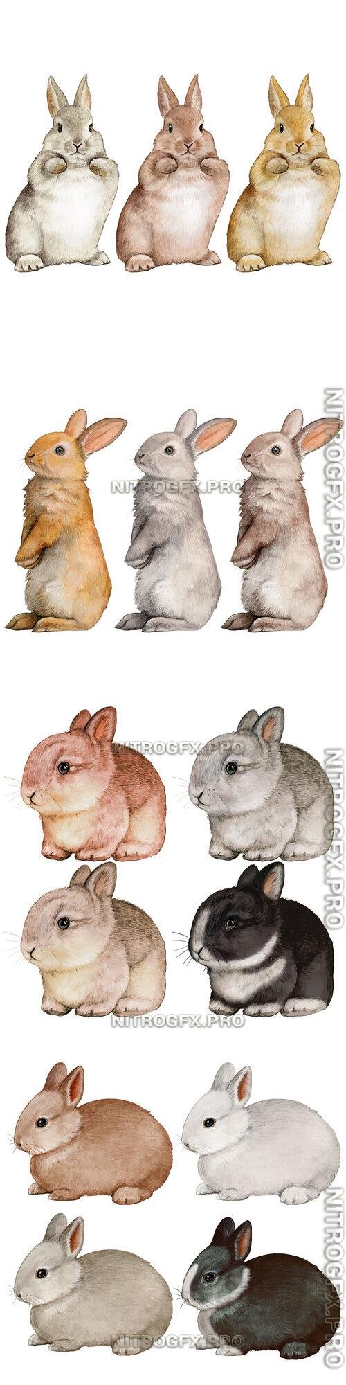 Hand drawn bunny collection - Watercolor vector clipart