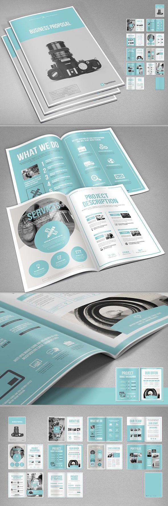 AdobeStock - Business Proposal Layout with Blue Accents - 224619279