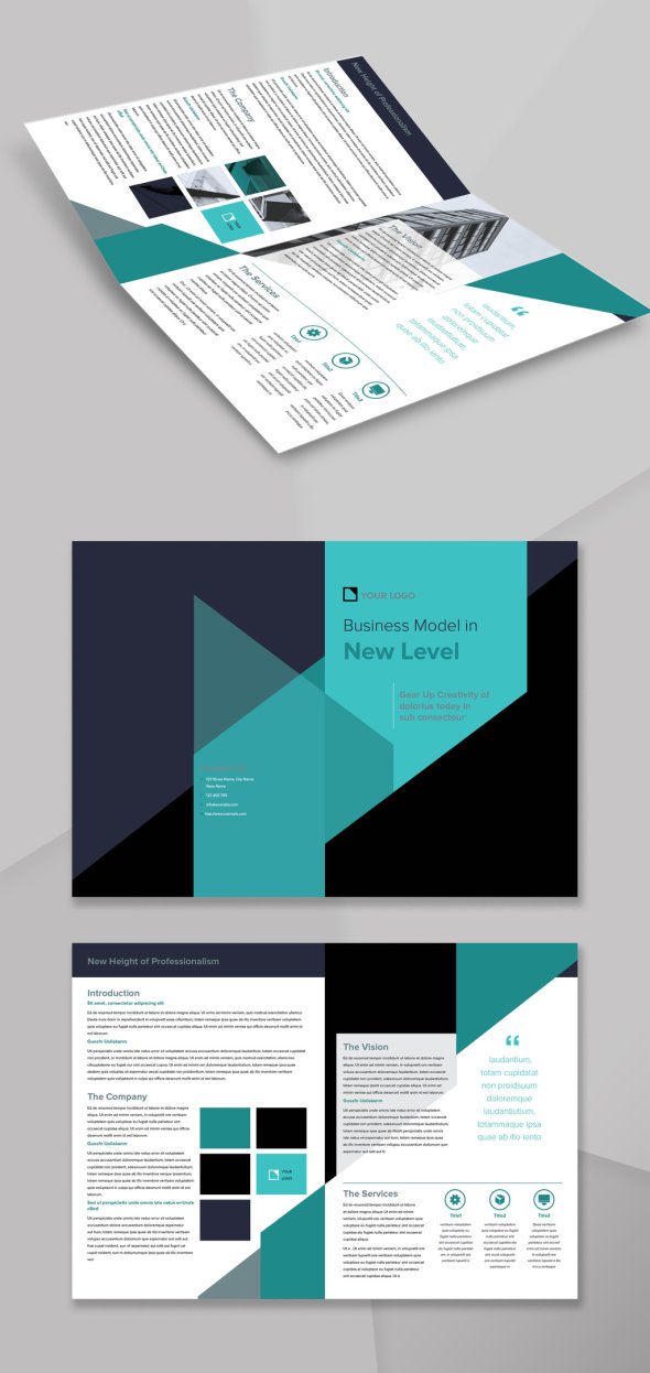 AdobeStock - Bifold Brochure Layout with Navy and Teal Accents - 223430341