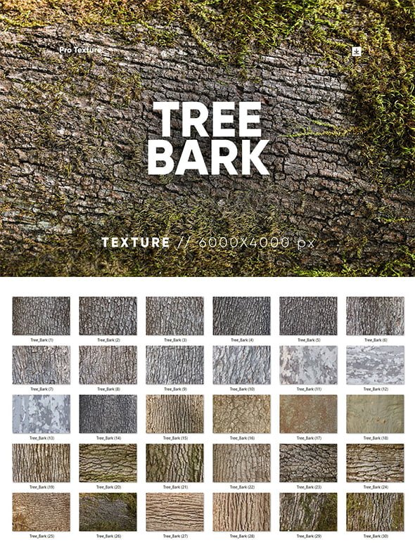 CreativeMarket - 30 Tree Bark Textures HQ - 17648810
