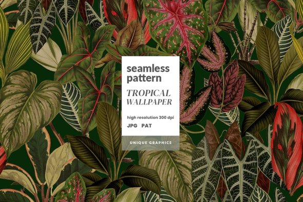 Tropical Wallpaper - TRXNGJT